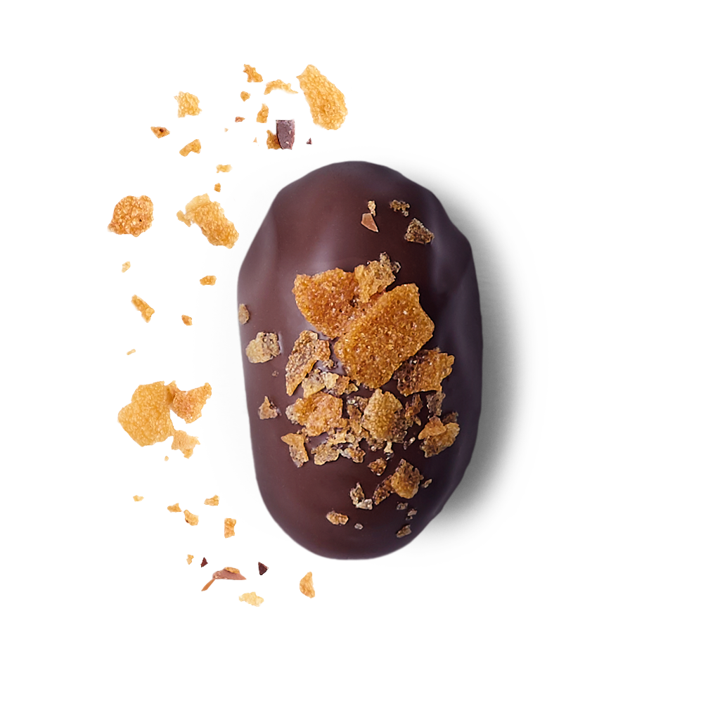 Medjool Dates/Dark Chocolate Crunchy Praline