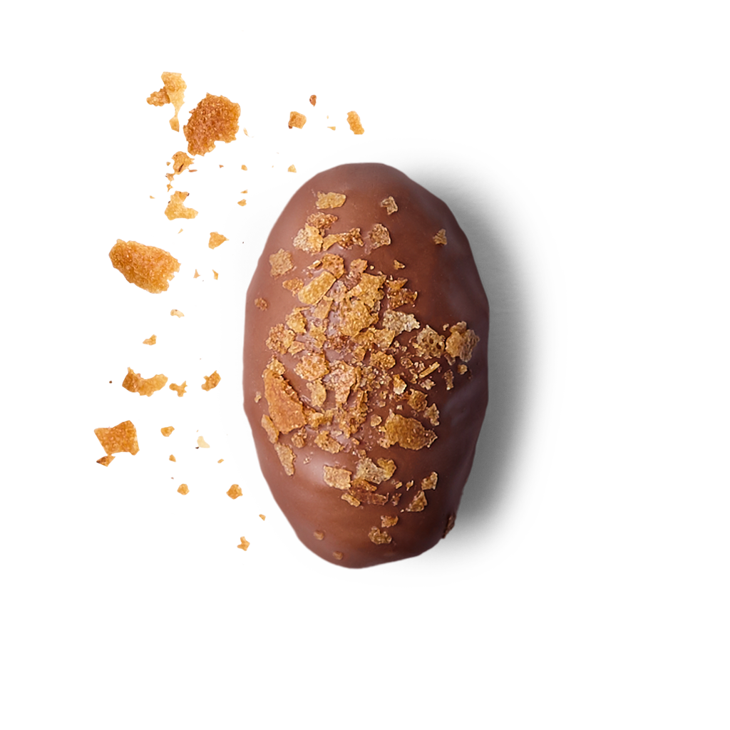 Medjool Dates/Milk Chocolate Crunchy Praline