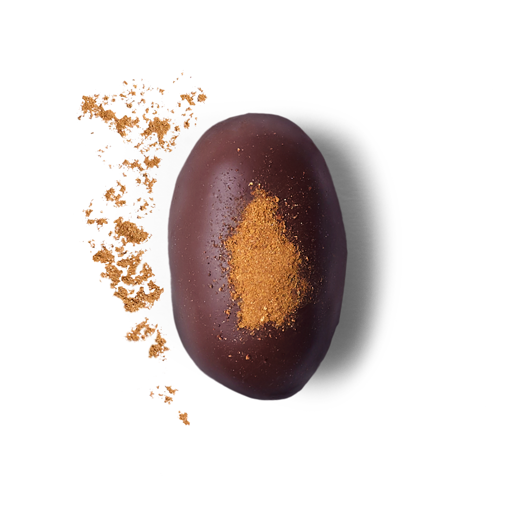 Medjool Dates/Dark Chocolate Cinnamon Cream &amp; Almonds