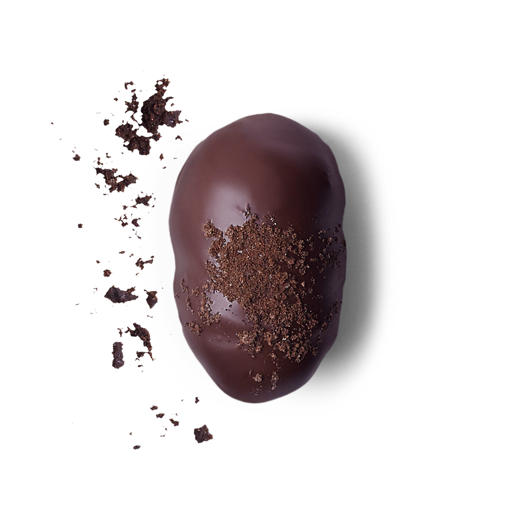 Medjool Dates/Dark Chocolate OREO Biscuits