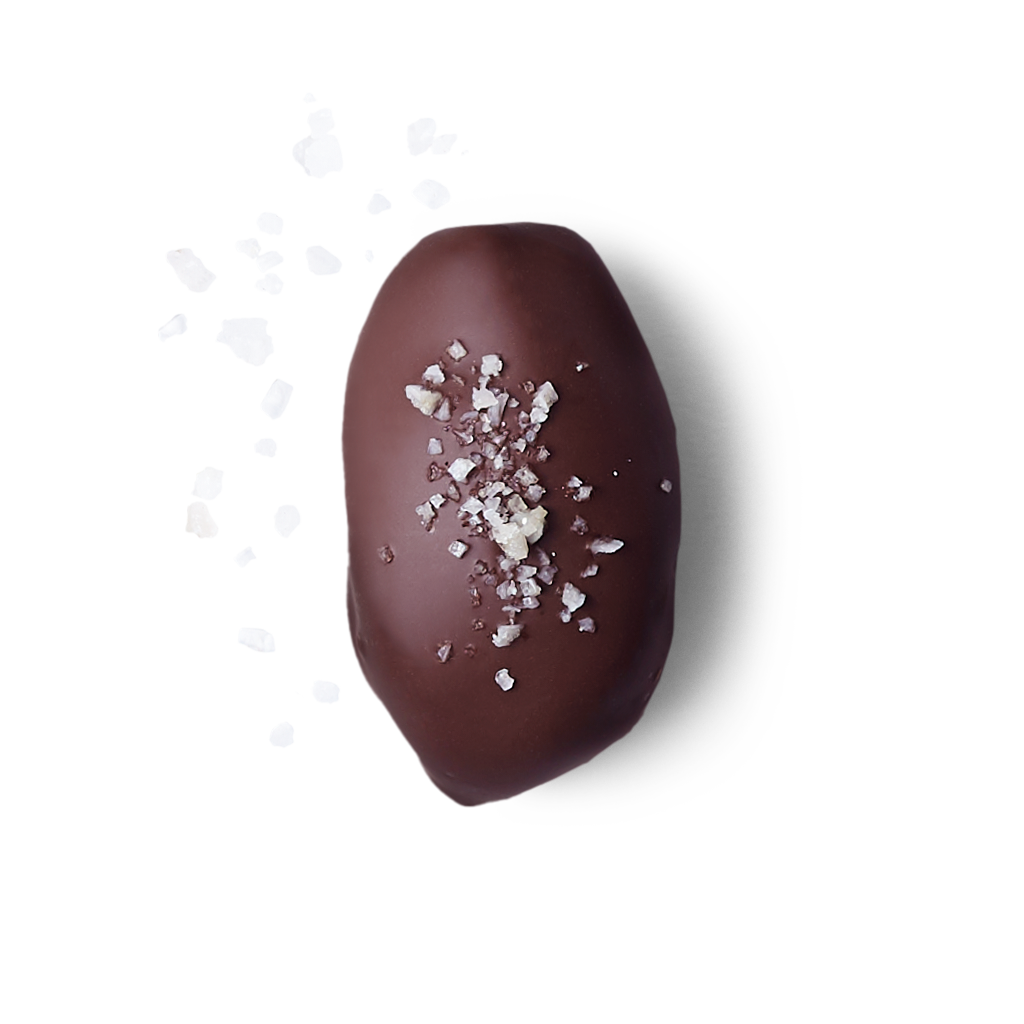 Medjool Dates/Dark Chocolate Salted Caramel